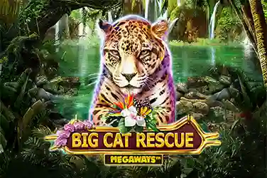 RedTiger Masterjudibola