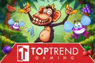 TTG Masterjudibola